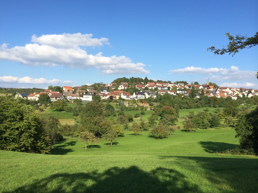 Wurmberg umgeben von Grün